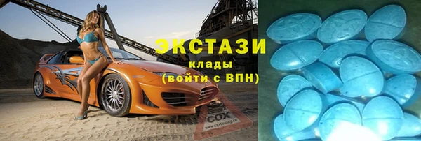 прущие грибы Белокуриха