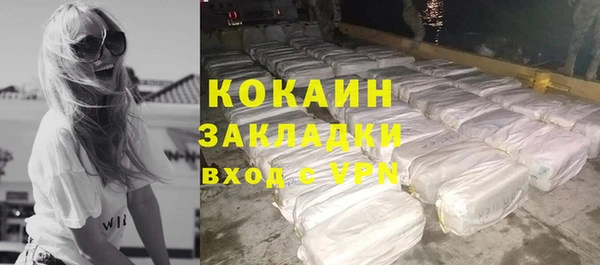 прущие грибы Белокуриха