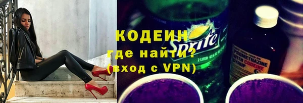 индика Беломорск