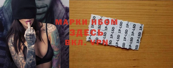прущие грибы Белокуриха