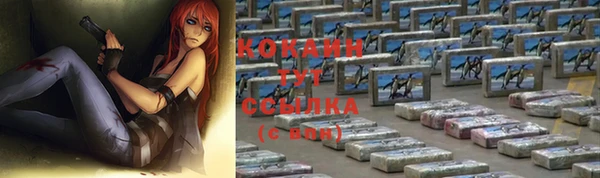 прущие грибы Белокуриха