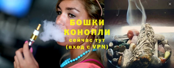 индика Беломорск