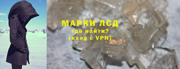 индика Беломорск