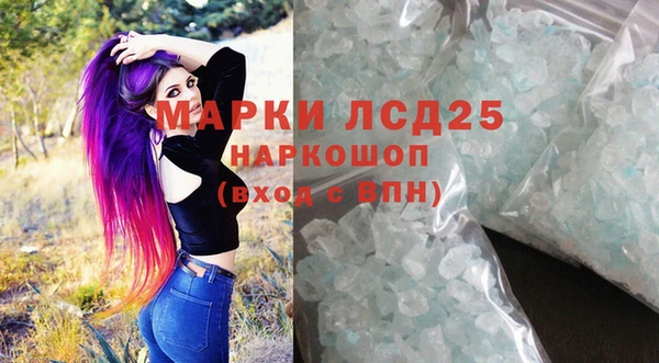 индика Баксан