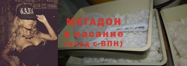 прущие грибы Белокуриха