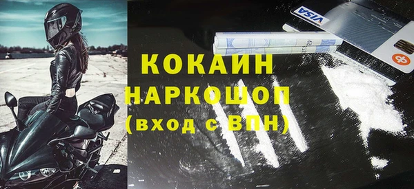 индика Беломорск