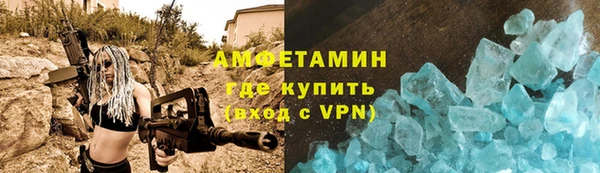 прущие грибы Белокуриха