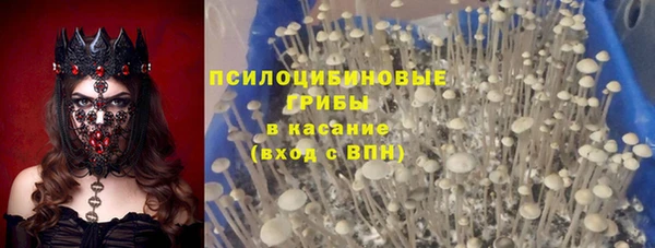индика Беломорск