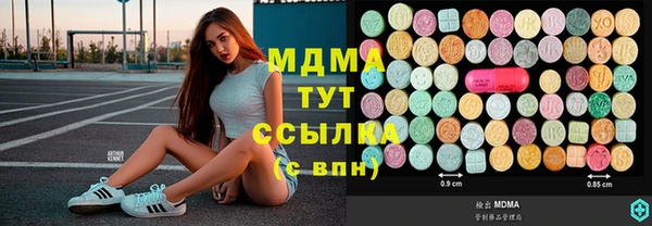 индика Беломорск
